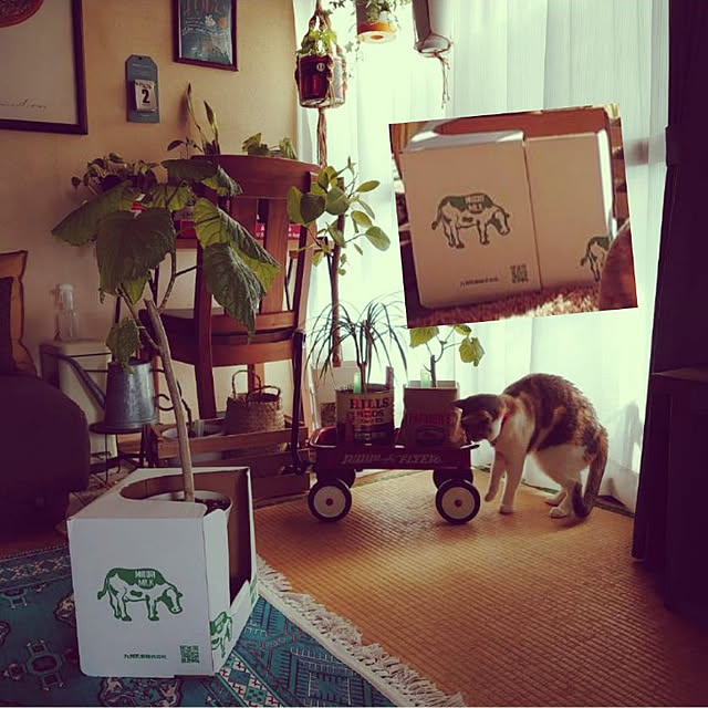 fukuさんの実例写真