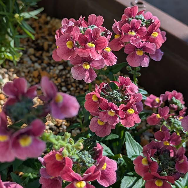 mi-saさんの部屋