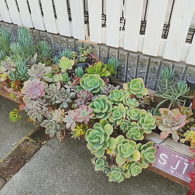 VERANDARJUNさんの実例写真