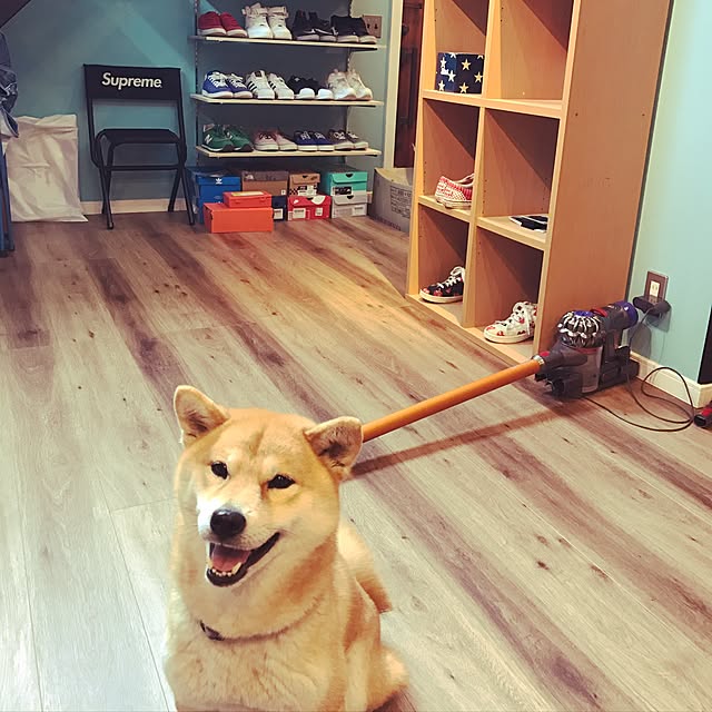 shoukiさんの実例写真