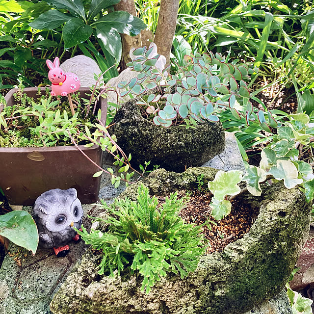 CoCo0617さんの実例写真