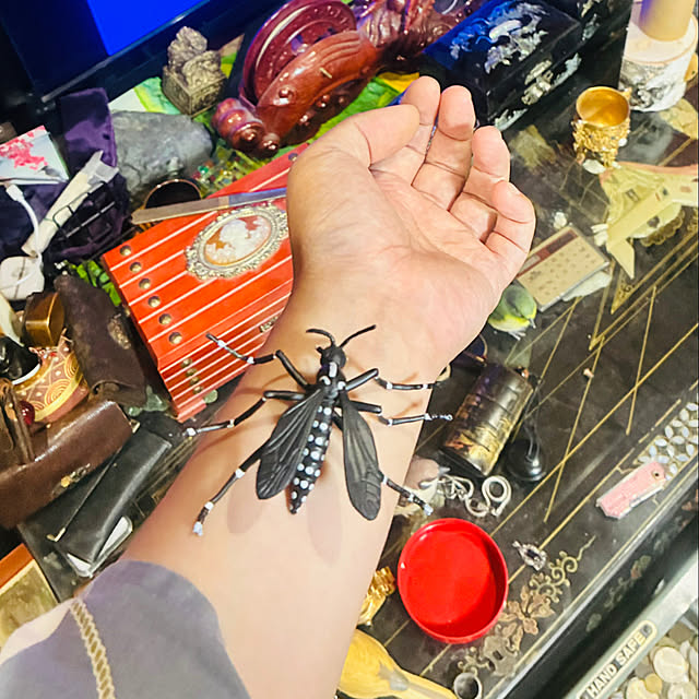 takakuzenさんの実例写真