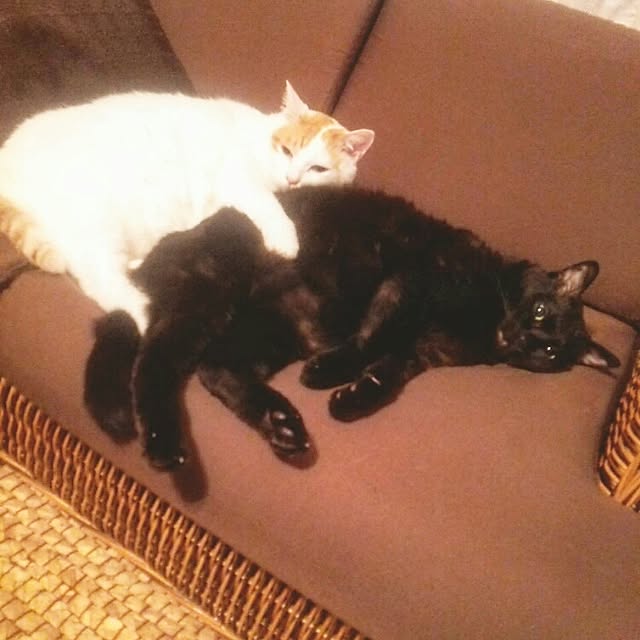 ugさんの実例写真