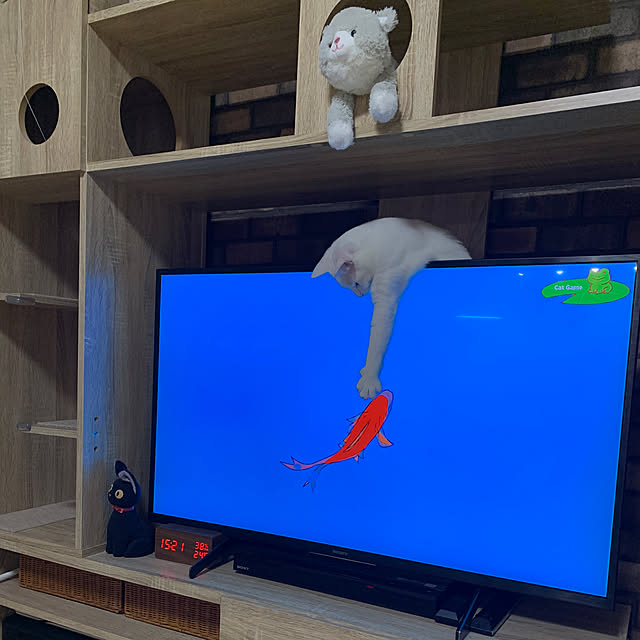 keiさんの実例写真
