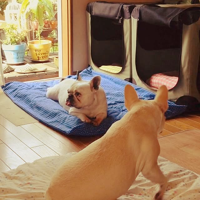 38coreさんの実例写真