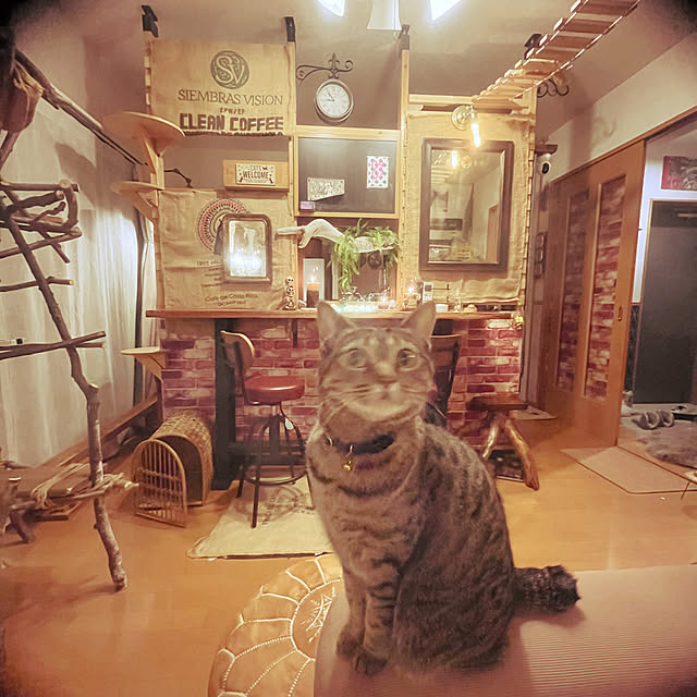 Mさんの部屋