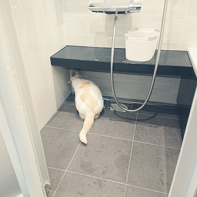 nachiさんの実例写真