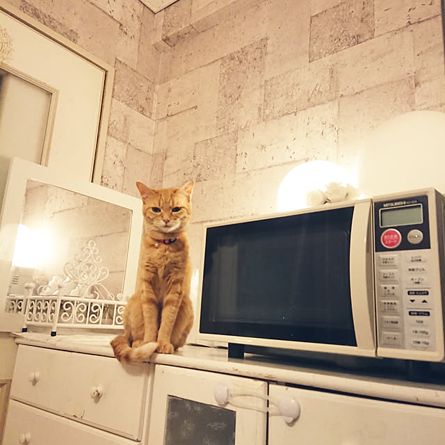 asuminさんの実例写真
