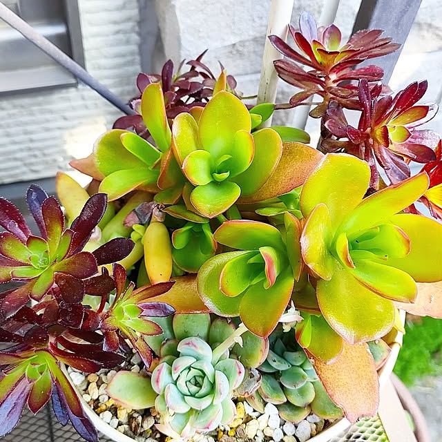 teamoさんの部屋