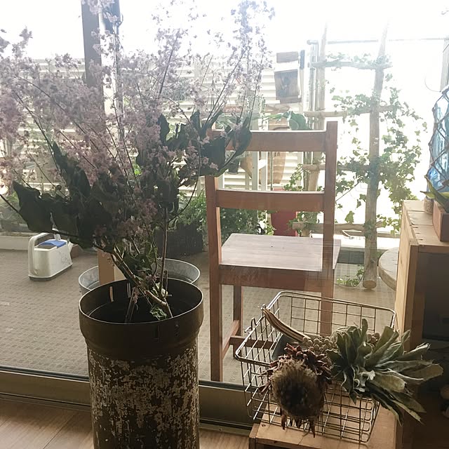 Youさんの実例写真
