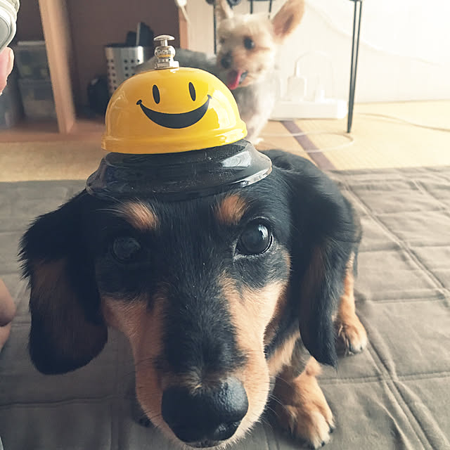 ohanaさんの実例写真