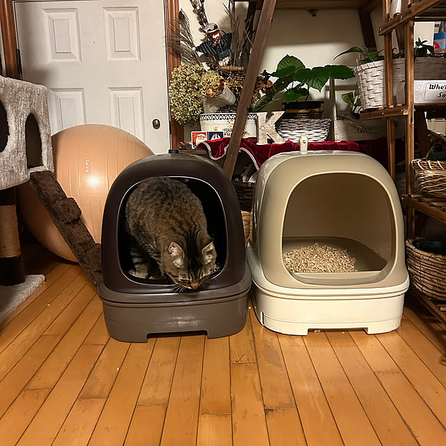klaroomさんの部屋