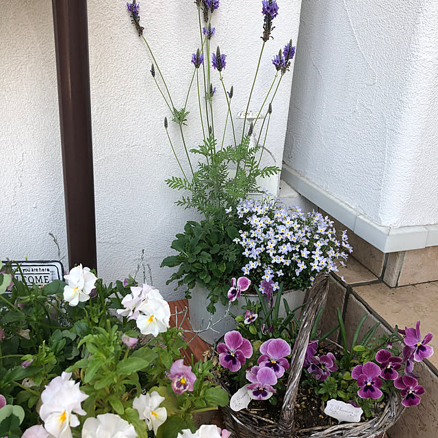 yumicloverさんの部屋