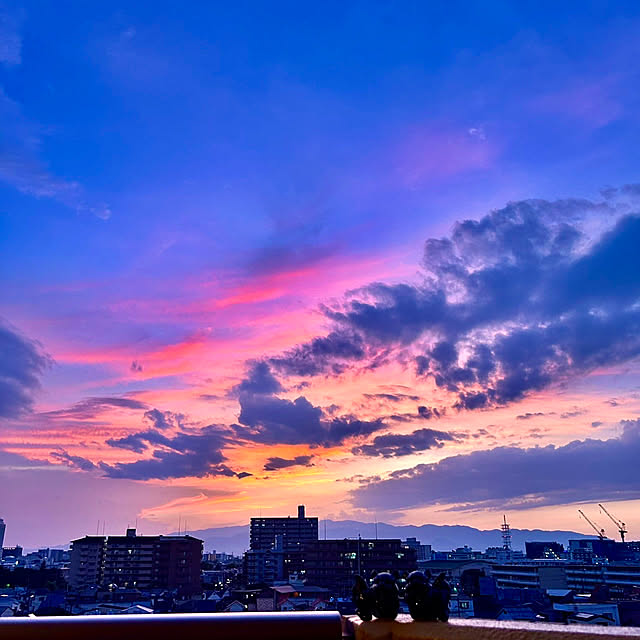 simple_blowbackさんの実例写真