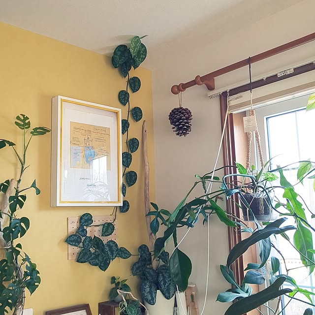 hiroさんの実例写真