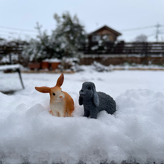 ronronさんの実例写真