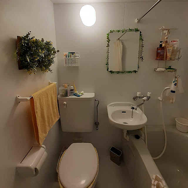 chisaviさんの実例写真
