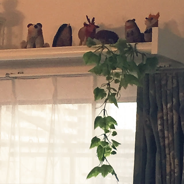 Uさんの実例写真