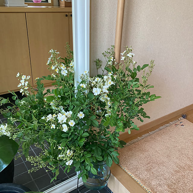 mamiさんの実例写真