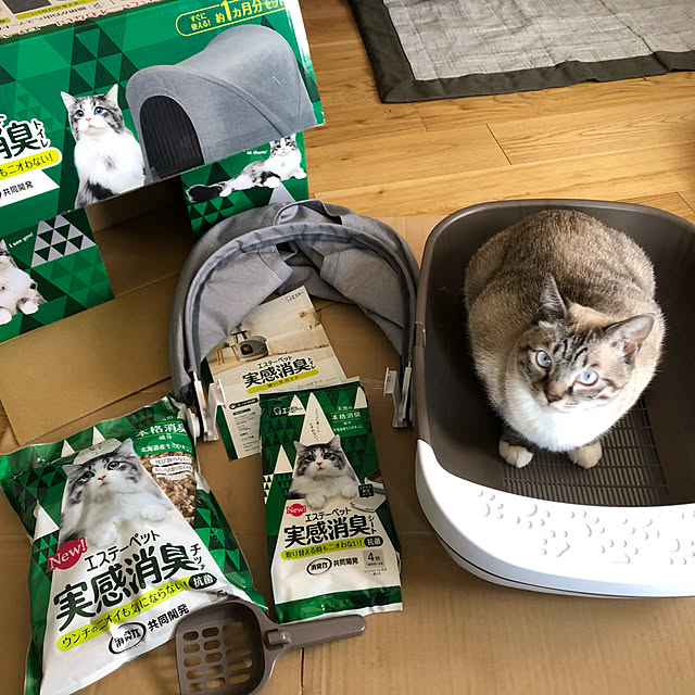 8717さんの実例写真