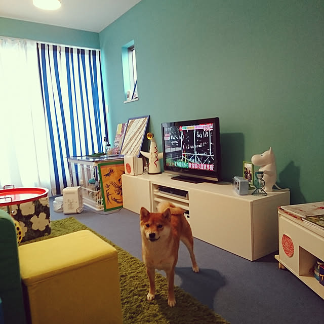 chiriさんの実例写真