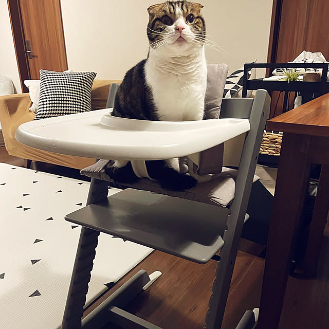 tansukeさんの部屋