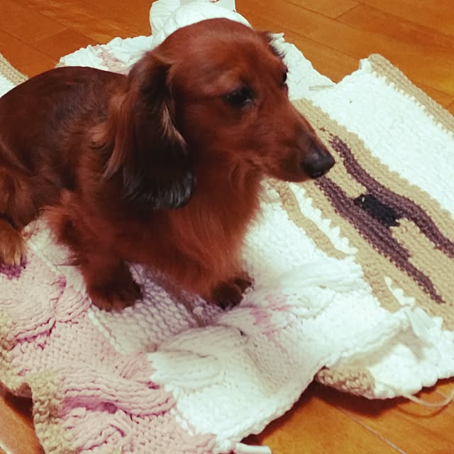 rumiさんの実例写真