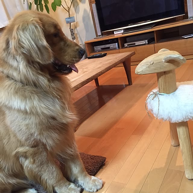 maraさんの実例写真