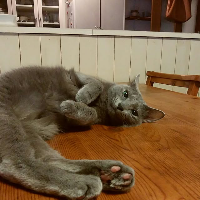 tomo1220さんの実例写真