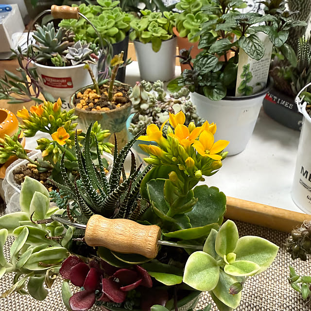 Aqettyさんの部屋