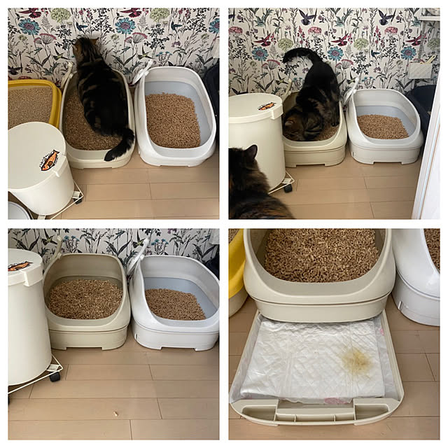 mikomaruさんの実例写真