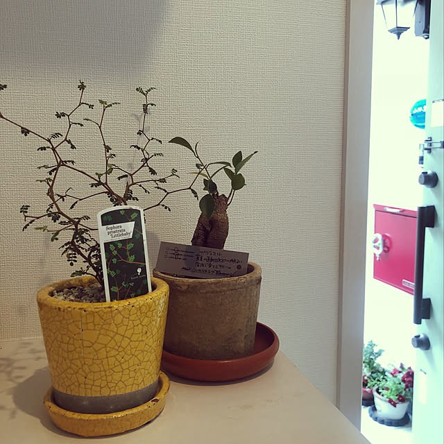 meg214さんの実例写真