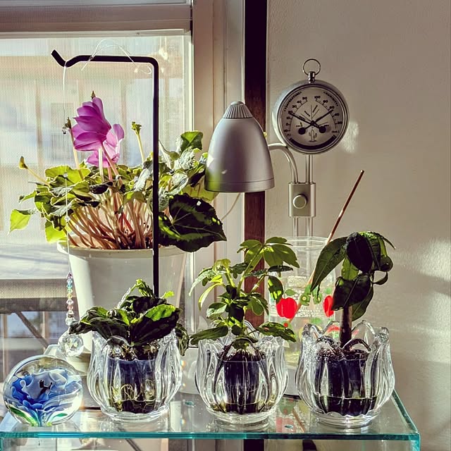 mi-saさんの部屋