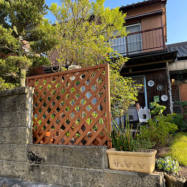 shin0719さんの実例写真