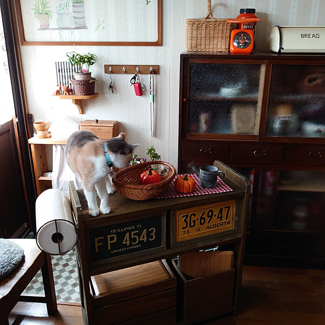 fukuさんの実例写真