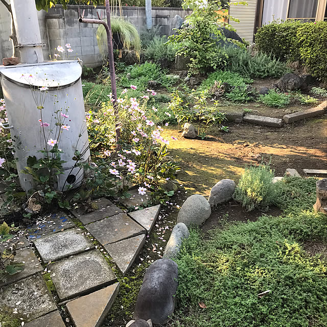 実例写真
