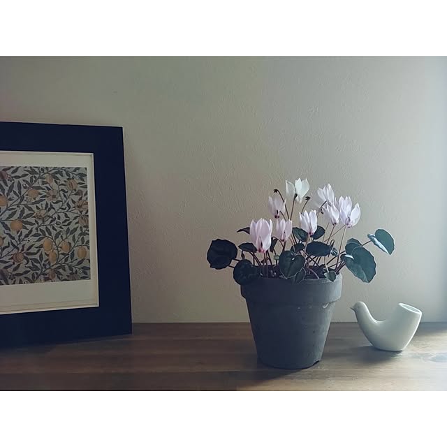 hana-さんの実例写真