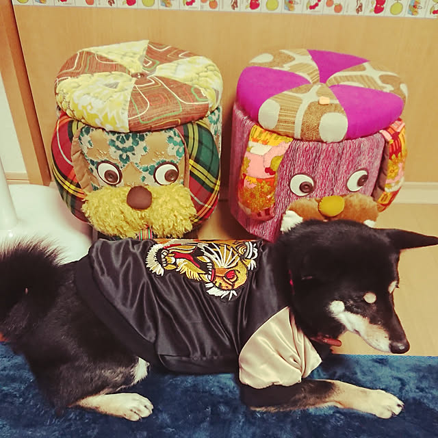 xxxakyxxxさんの実例写真