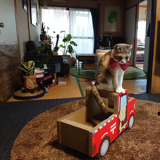fukuさんの実例写真
