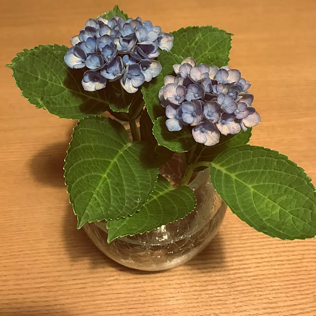 mi-koさんの実例写真