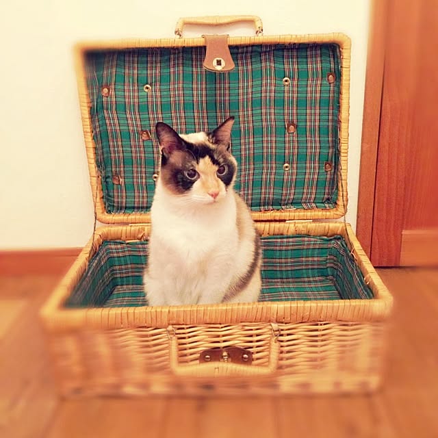 kurunさんの実例写真