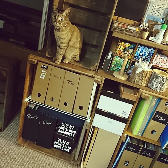 Kazukiさんの実例写真