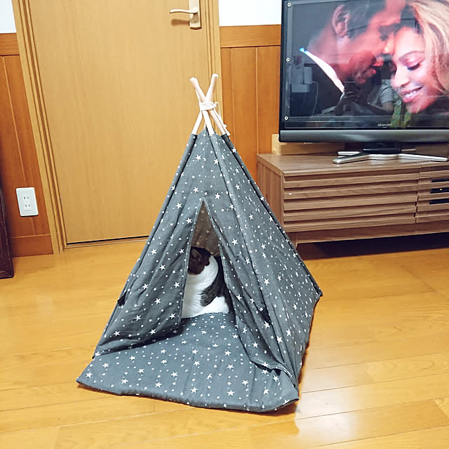 nachiさんの実例写真