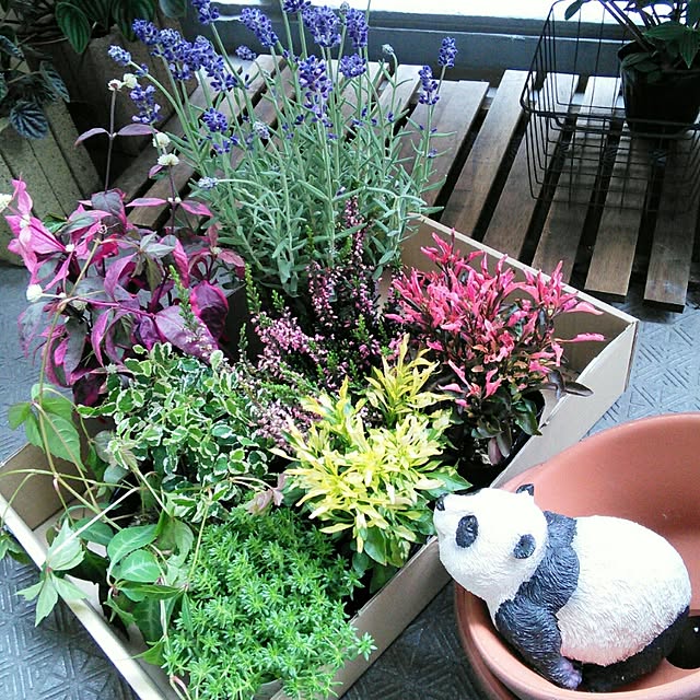lovepandaさんの実例写真