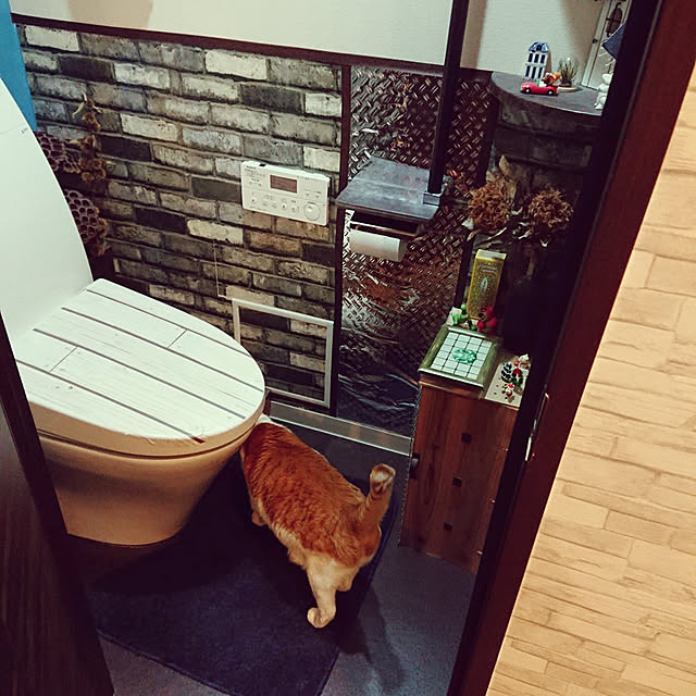 porinさんの実例写真