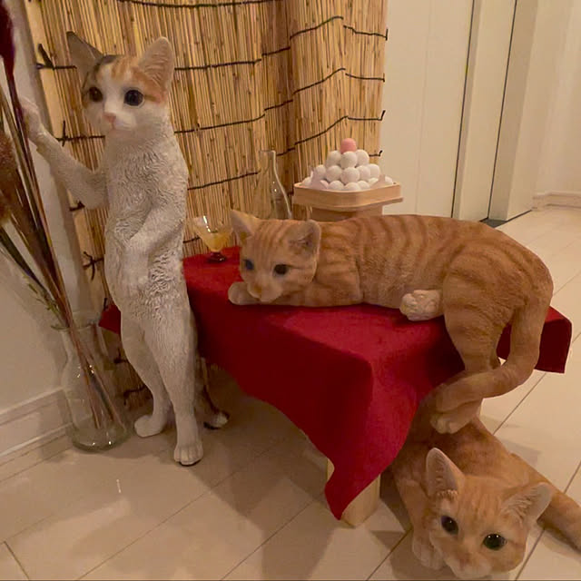 farekananiさんの実例写真