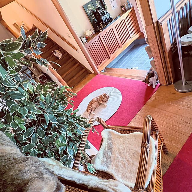 uchizukonyanさんの実例写真