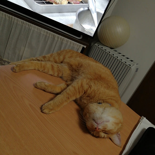 summerさんの実例写真