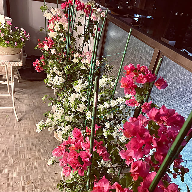 yuko25さんの実例写真