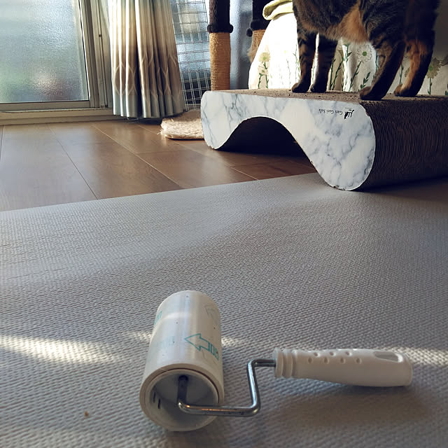 futukoさんの実例写真